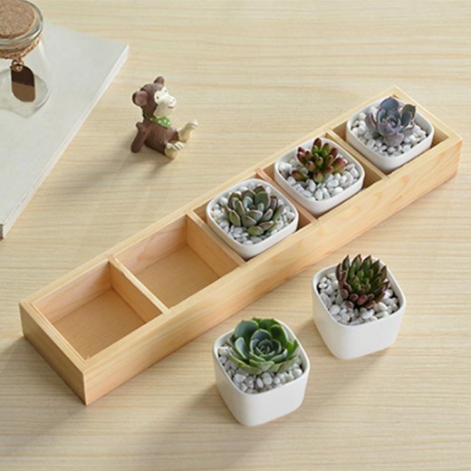 Five Grid Flower Pot Wooden Tray Succulent Flower Pot