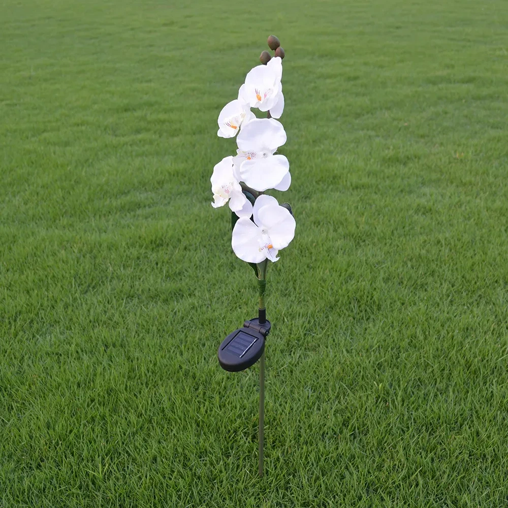 Outdoor 5-head Solar Phalaenopsis LED Flower Light