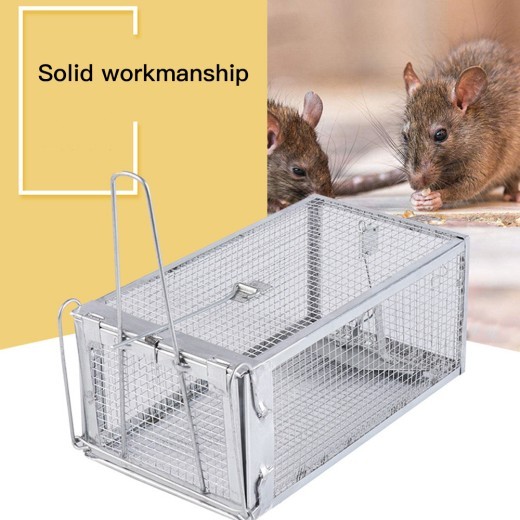 Mouse trap, mouse trap, artifact, clip, indoor