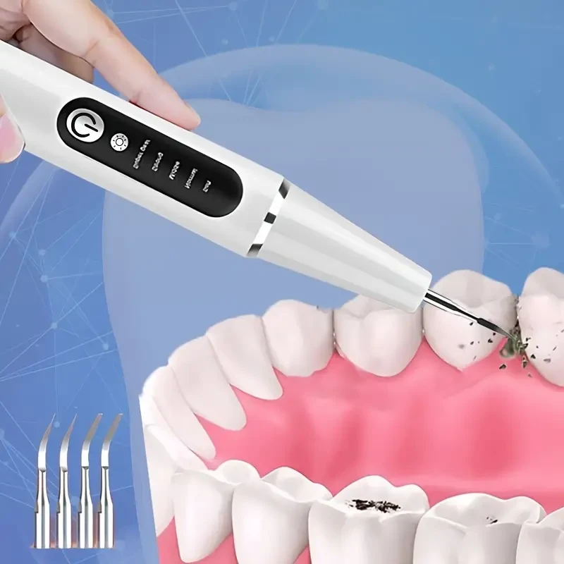 Rechargeable LED Tooth Cleaner Kit with 4 Interchangeable Brush Heads