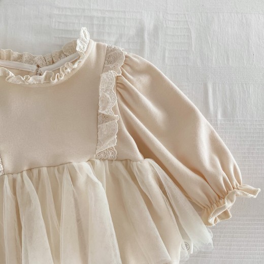 Baby Trendy Mesh Princess Baby's Gown