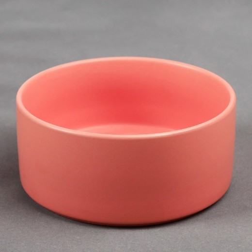 Cat and dog food bowl dog bowl