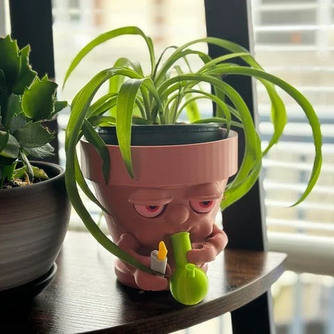 The Plant Pot that Puffs