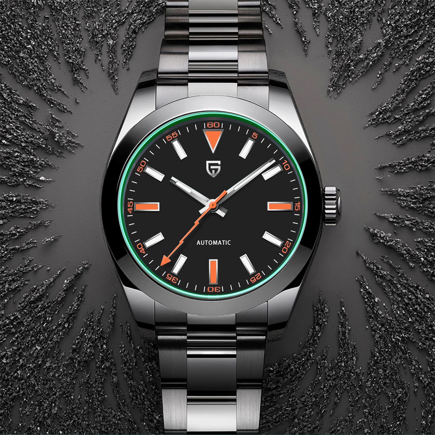 PAGANI DESIGN Men's Luxury Mechanical Watch