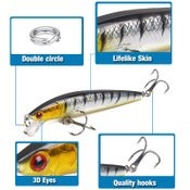 10 * Fishing Lures Hard Baits 3D 10cm 9g