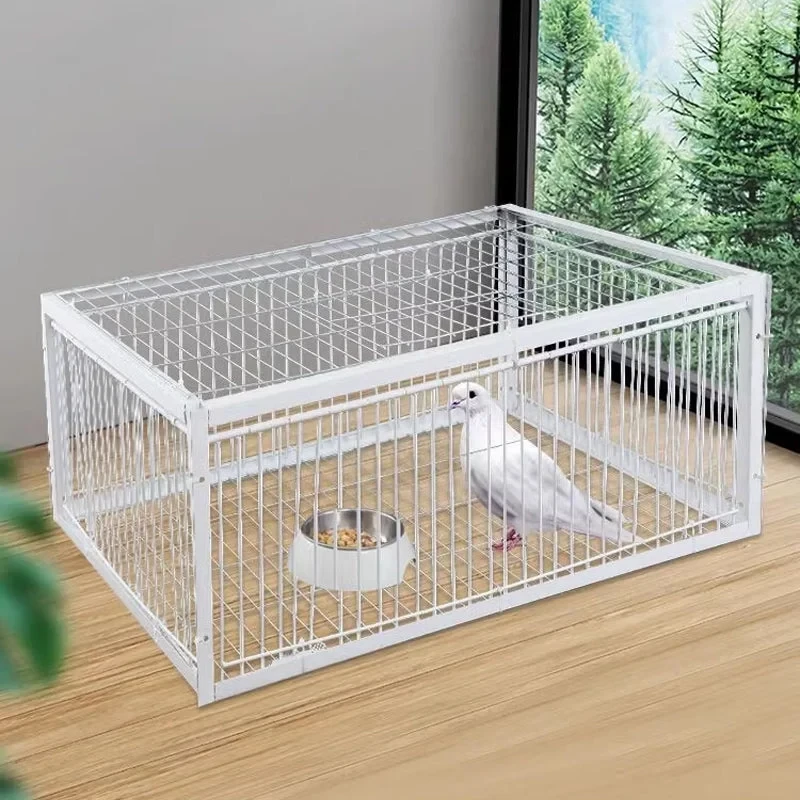 AutoTrap Bird Cage - Entry Only, No Exit, With Base