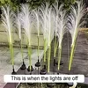 Reed Fiber Optic Light[Outdoor Solar Garden Lights]