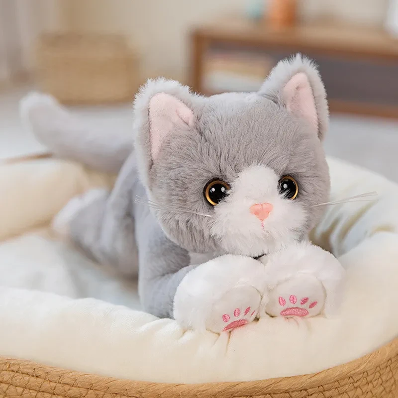 Cartoon Kitty Doll Plush Toys
