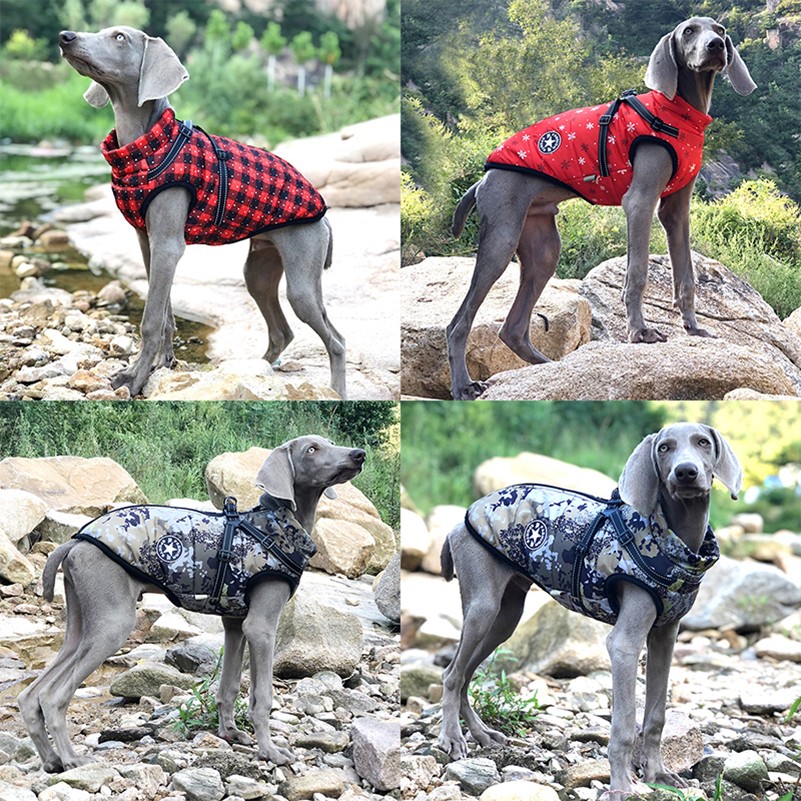 FurryKing 3 in 1 Winter Jacket