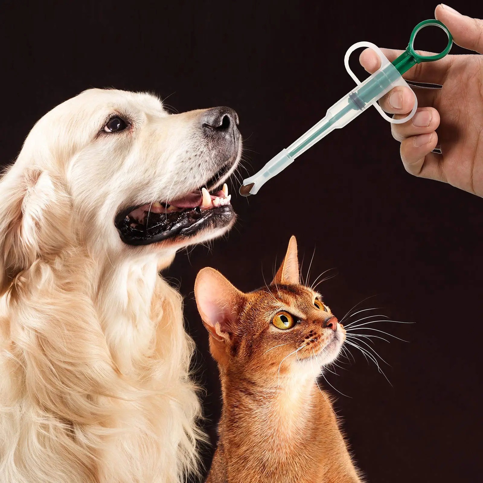 Pet Medicine Feeder