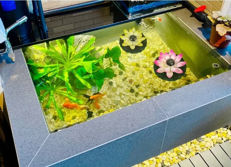 Solar Pool Lights
