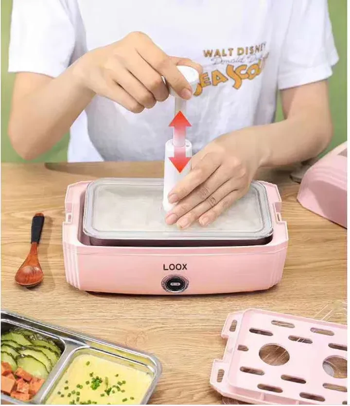 Portable double deck electric heating lunch box
