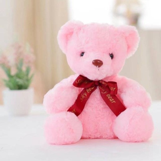 Plush Toy Teddy Bear Glowing Bear Doll Creative Gift