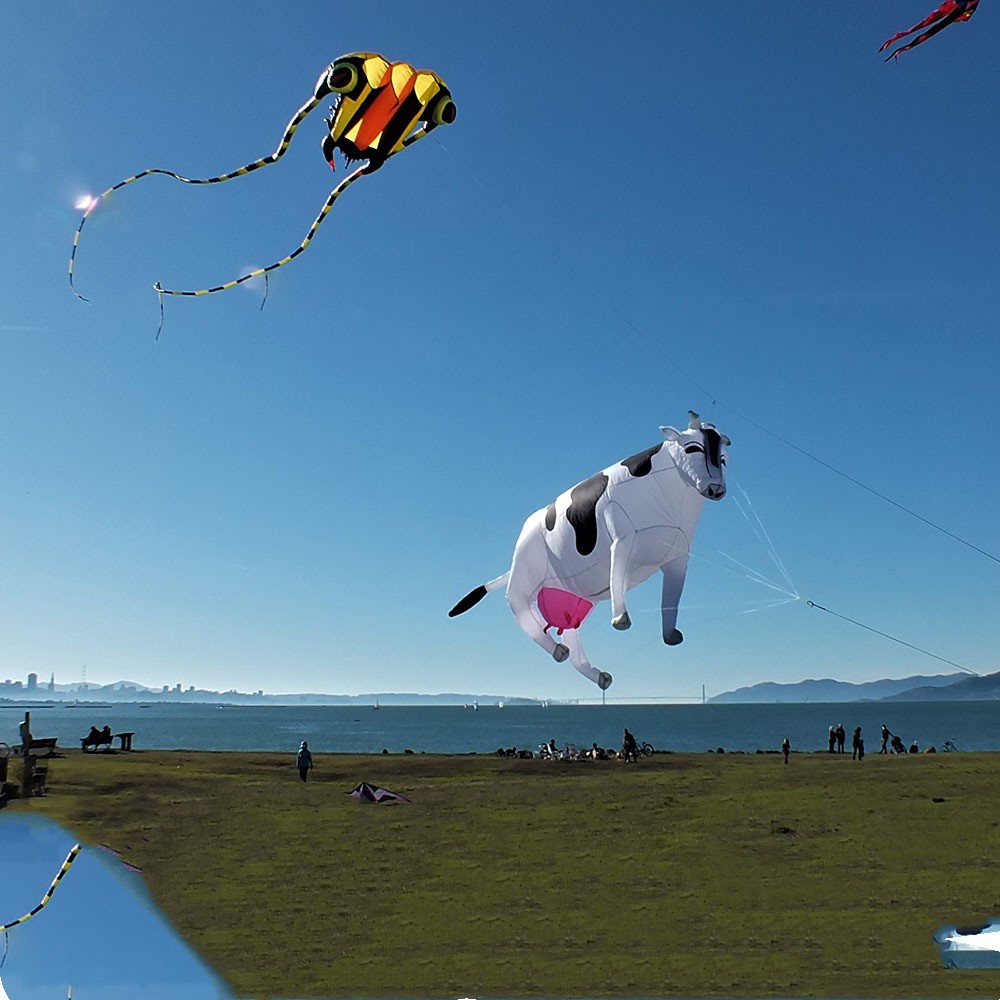 Daisy Cow: Soft, Three Meters with Pink tits