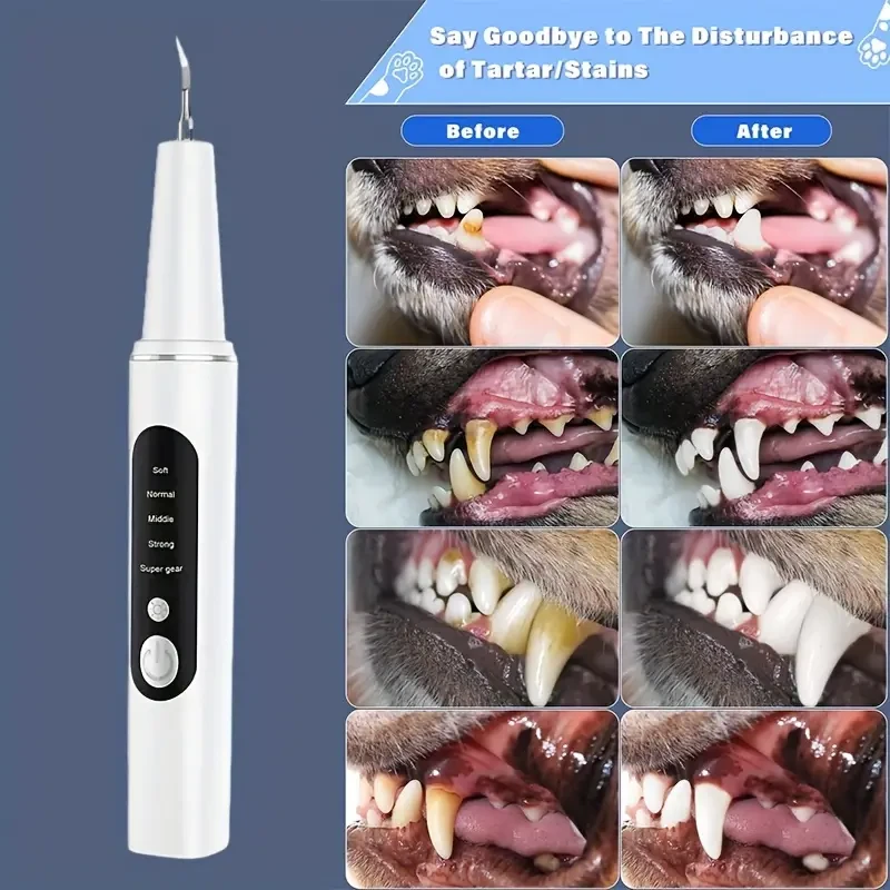 Pet Electric Tooth Cleaner 4 Modes to Remove Teeth Stains and Stones