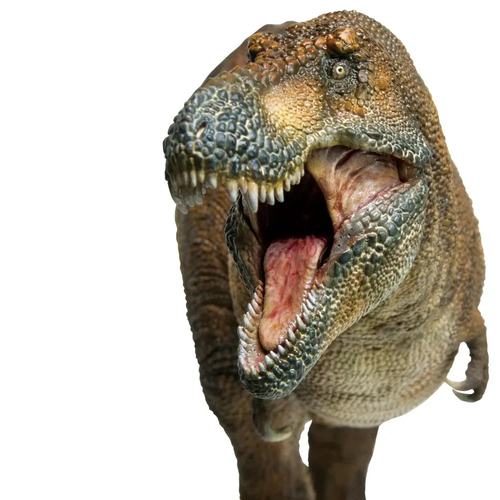 Tyrannosaurus Wilson 1:35 Scientific Art Model