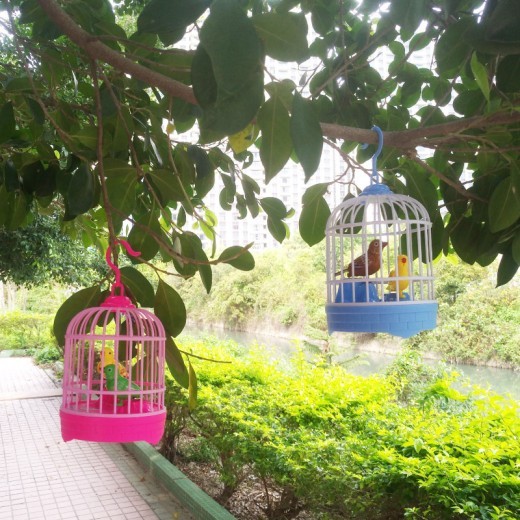 Voice control mini bird cage