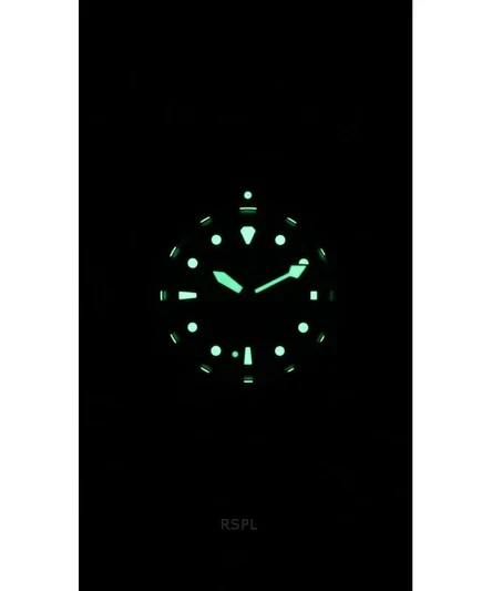 Ratio FreeDiver Sapphire Stainless Steel Black Dial Quartz RTFL800 200M Women's Watch