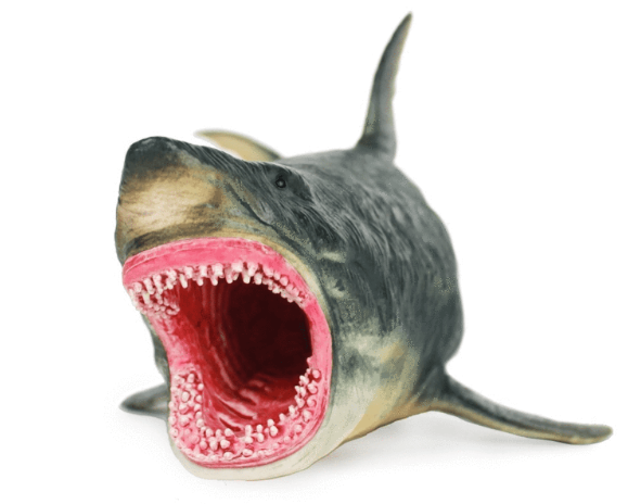 Megalodon Prehistoric Shark Model Toy