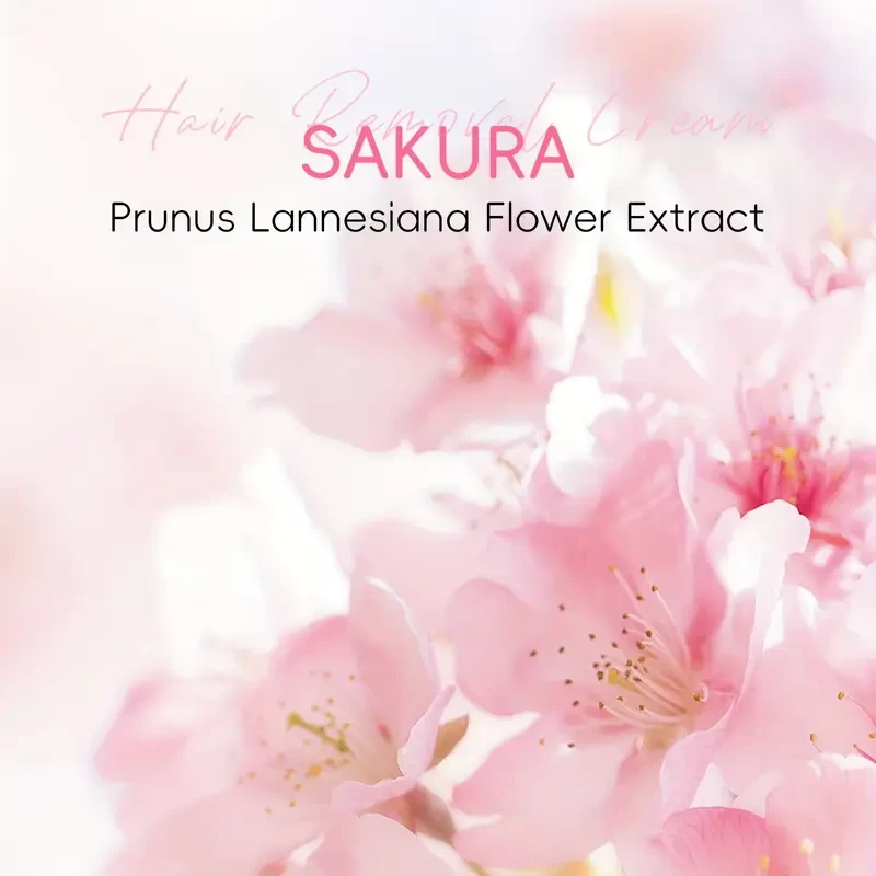LAIKOU Japan Sakura Hair Removal Cream 3.53oz