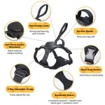Harness and Retractable Leash Set All-in-One
