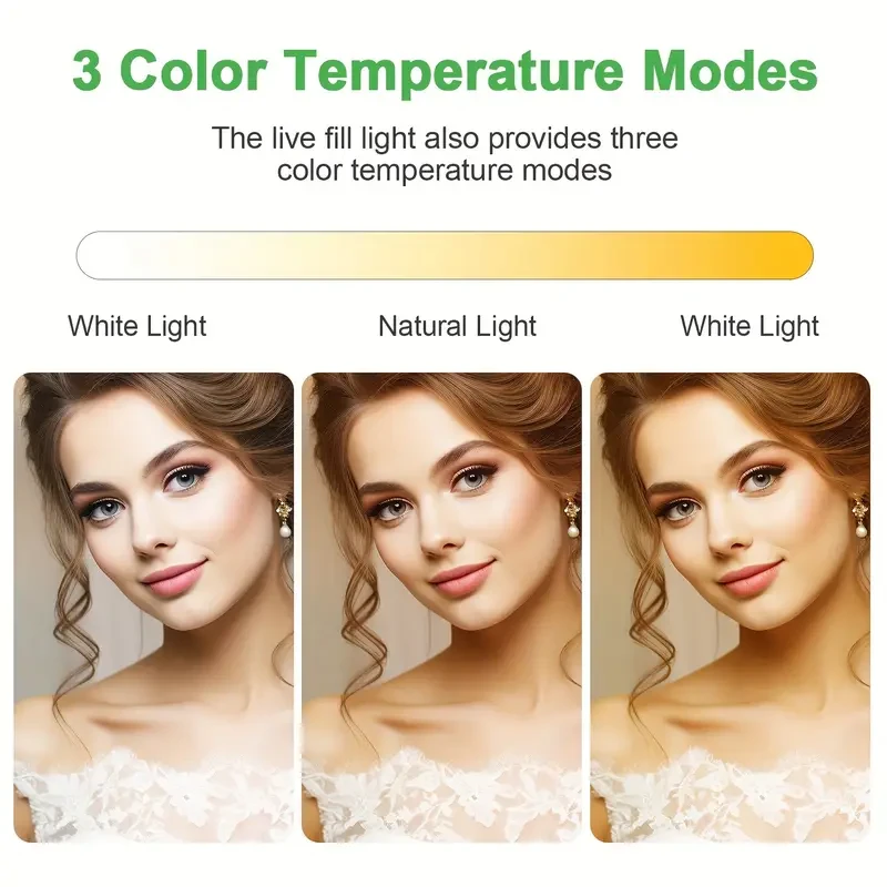 ZOMEI LED Video Light Kit