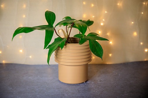 Tall Berlin Planter