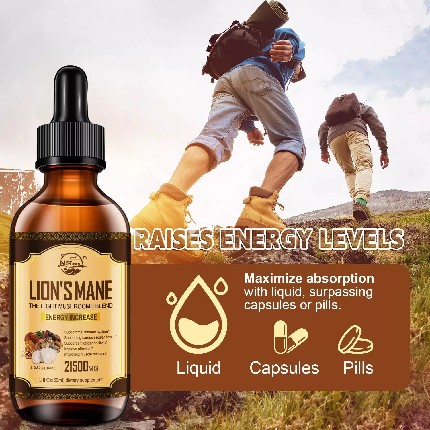 60ml Lion Mane, Chaga Mushroom Complex Reishi Extract Liquid Herbal Drops