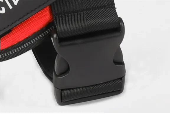 Personalized Dog Harness NO PULL