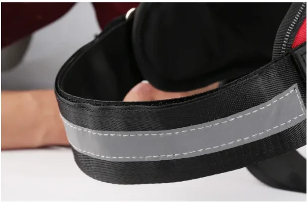 Personalized Dog Harness NO PULL