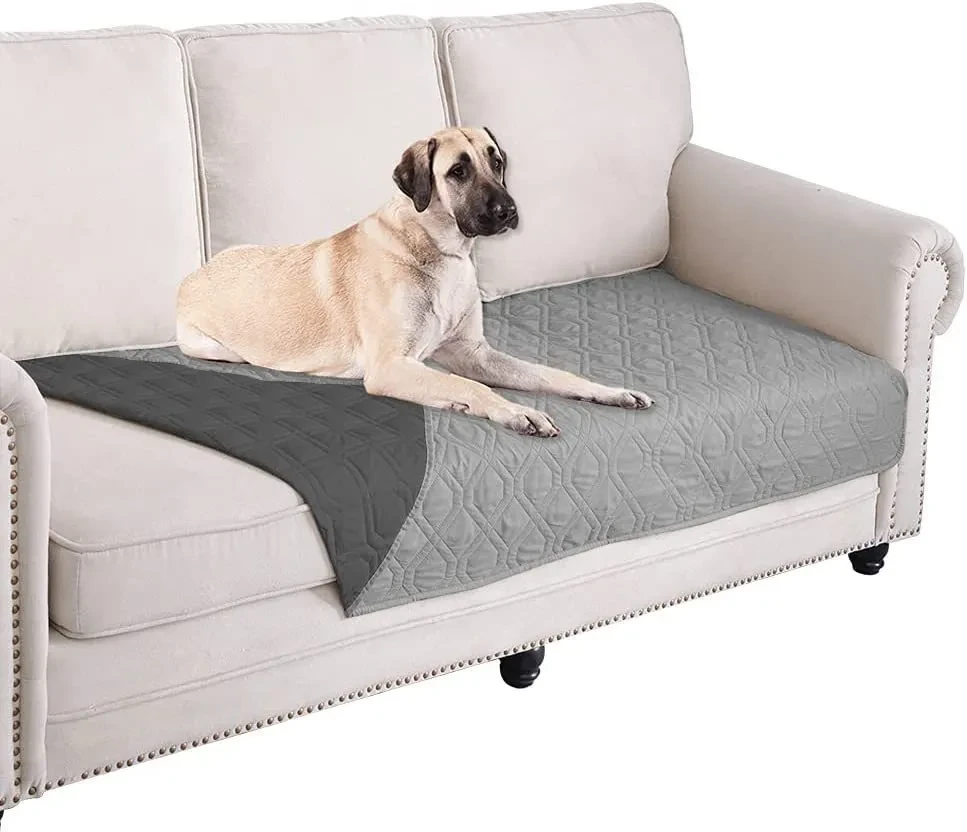 Animal Couch