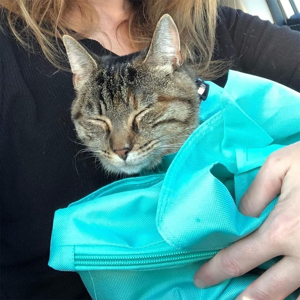Cat Carrier Pouch