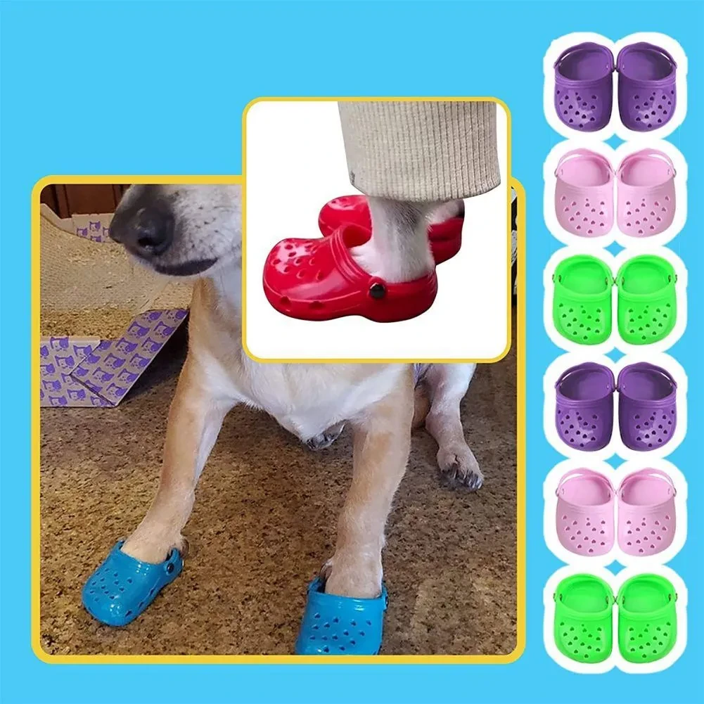 Dog Crocs