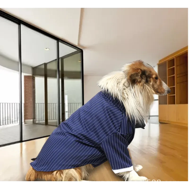 Large Dog Suit