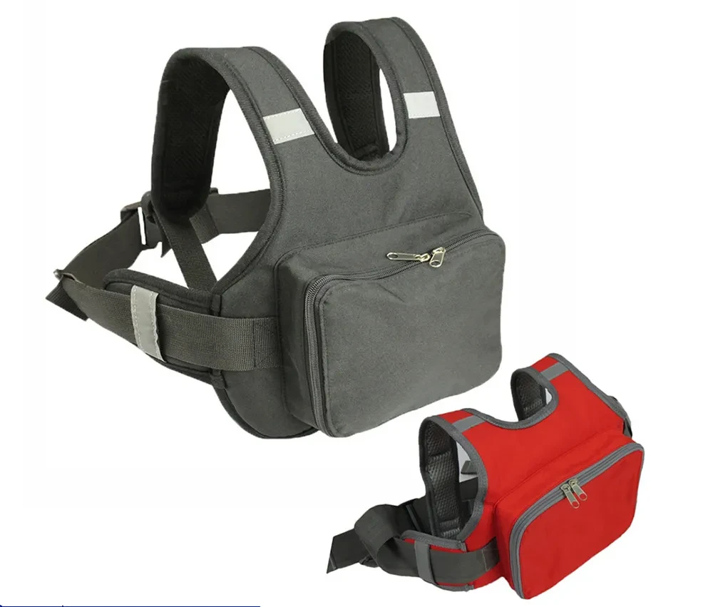 Motorcycle Pillion Harness