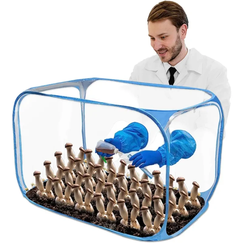 Glass Grow Box.