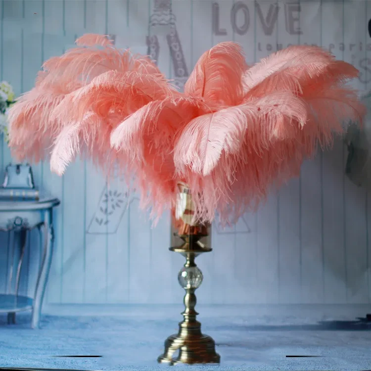 Big Feathers For Decorations