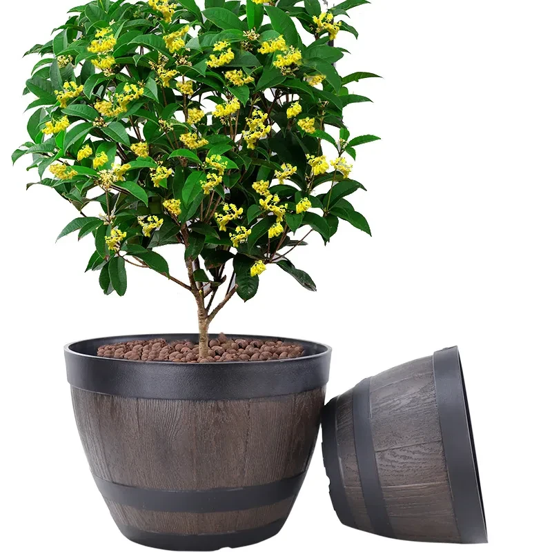 Cute Plant Pots With Drainage