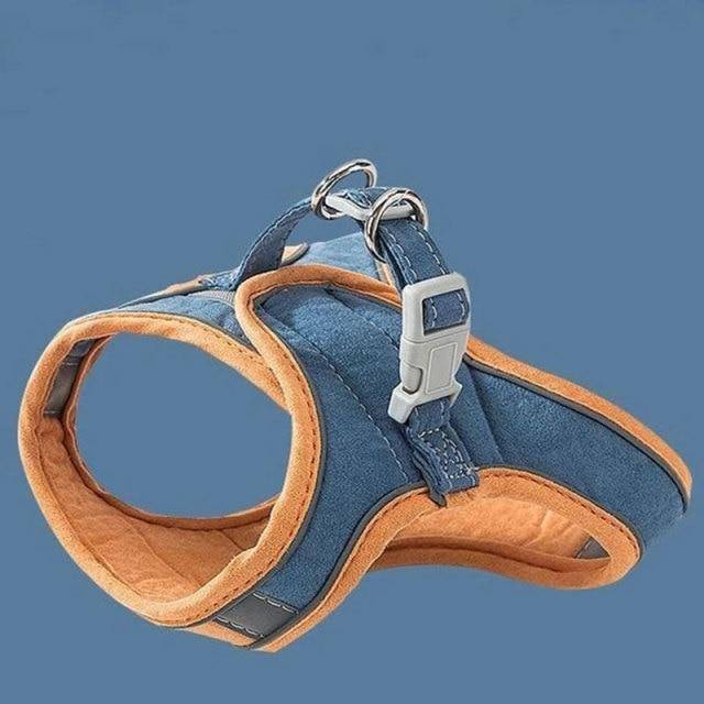 Outdoor Cat Harness & Leash Set