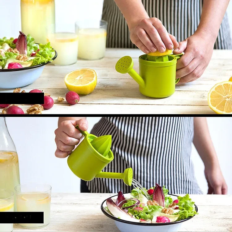 Citrus Juicer