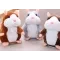 Hamster Christmas Club
