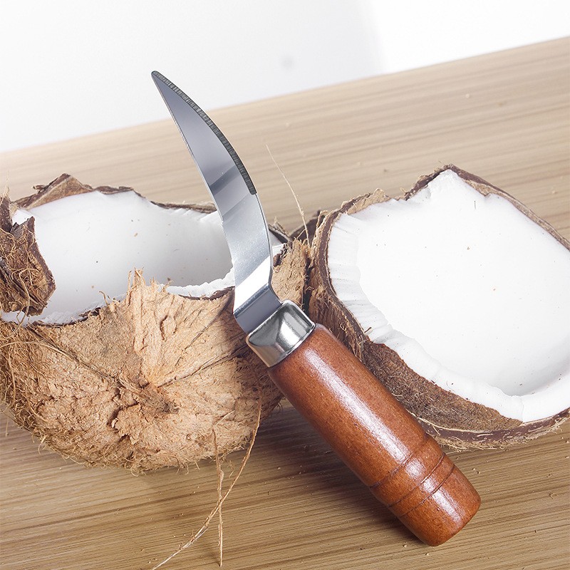 coconut scraper