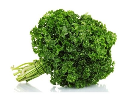 PARSLEY CURLY (PER KG) - [PRODUCE]