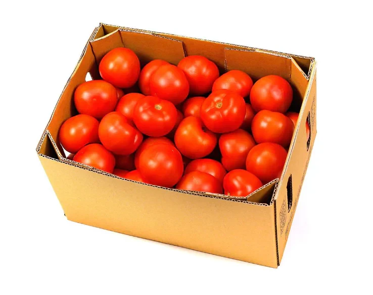 TOMATOES NZ WHOLE 10KG (PRODUCE)