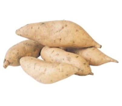 KUMARA GOLD STANDARD (PER KG) - [PRODUCE]